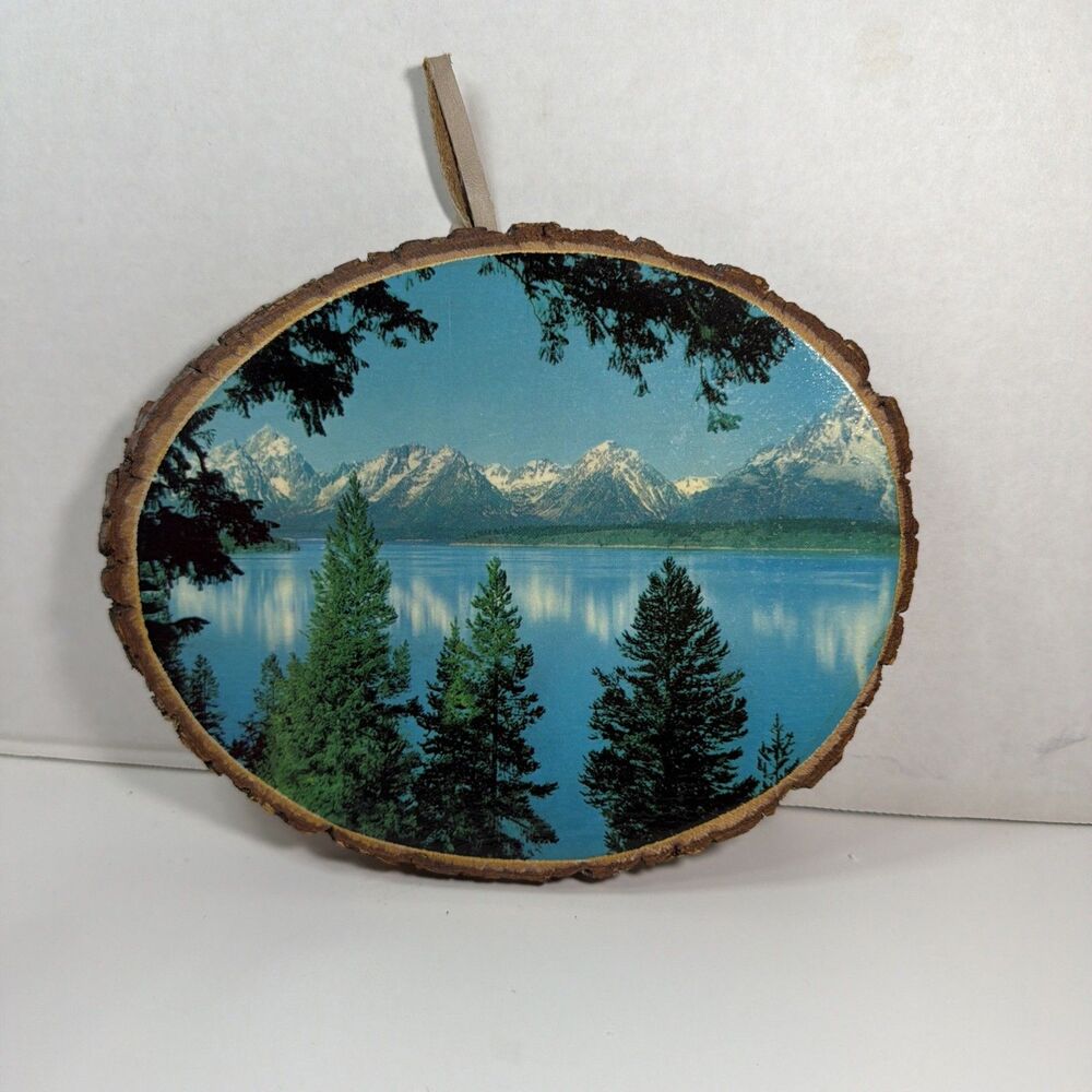 MCM Mountain Lake YELLOWSTONE National Park Tree Slab Wall Art U.S.A. Vintage